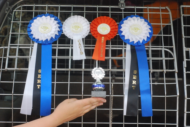 The Rosettes from the Estonian shows